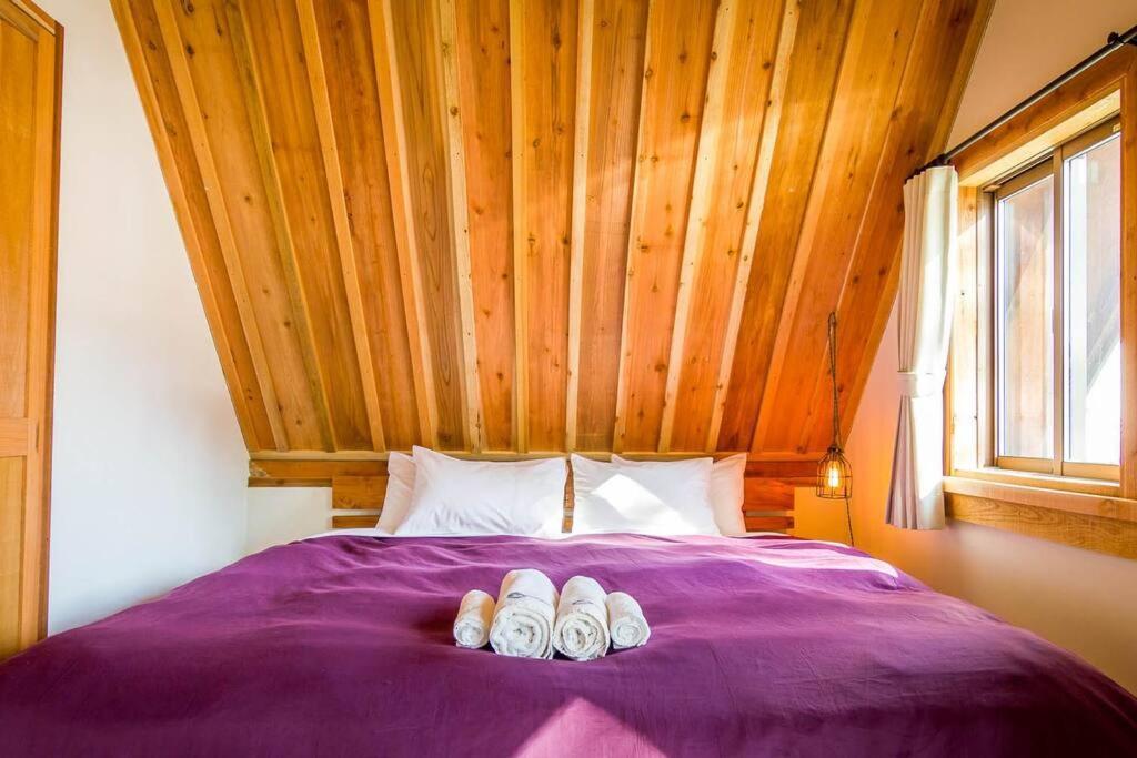 Misorano Chalet Hakuba Esterno foto
