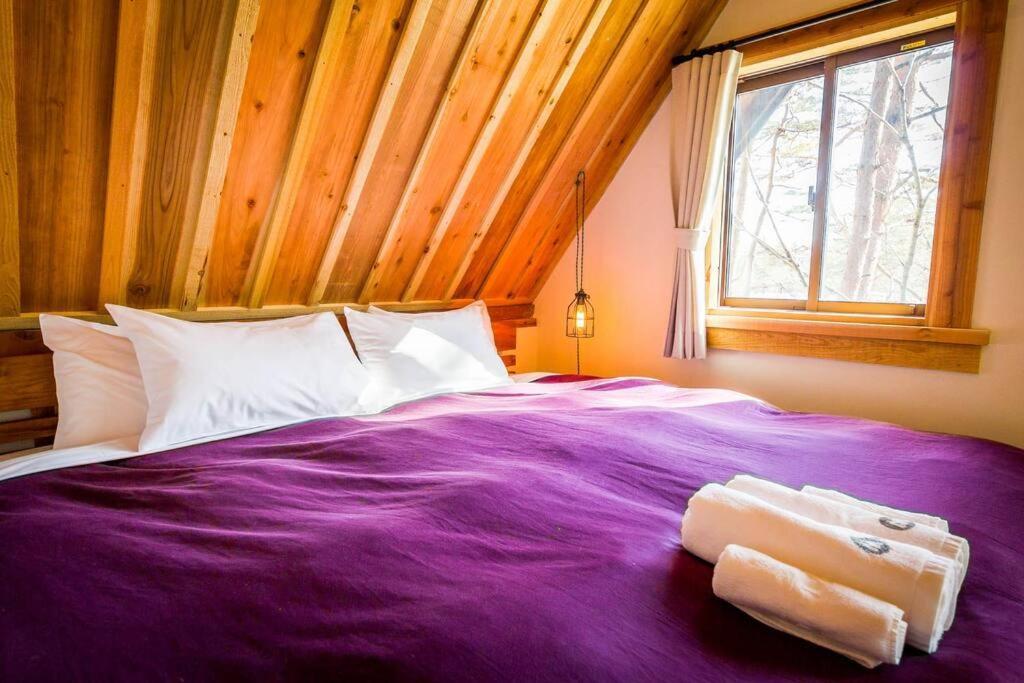 Misorano Chalet Hakuba Esterno foto