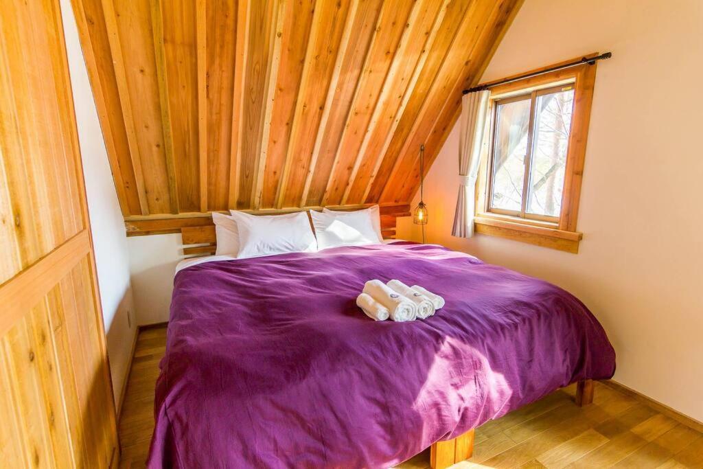 Misorano Chalet Hakuba Esterno foto