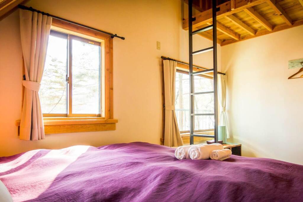 Misorano Chalet Hakuba Esterno foto