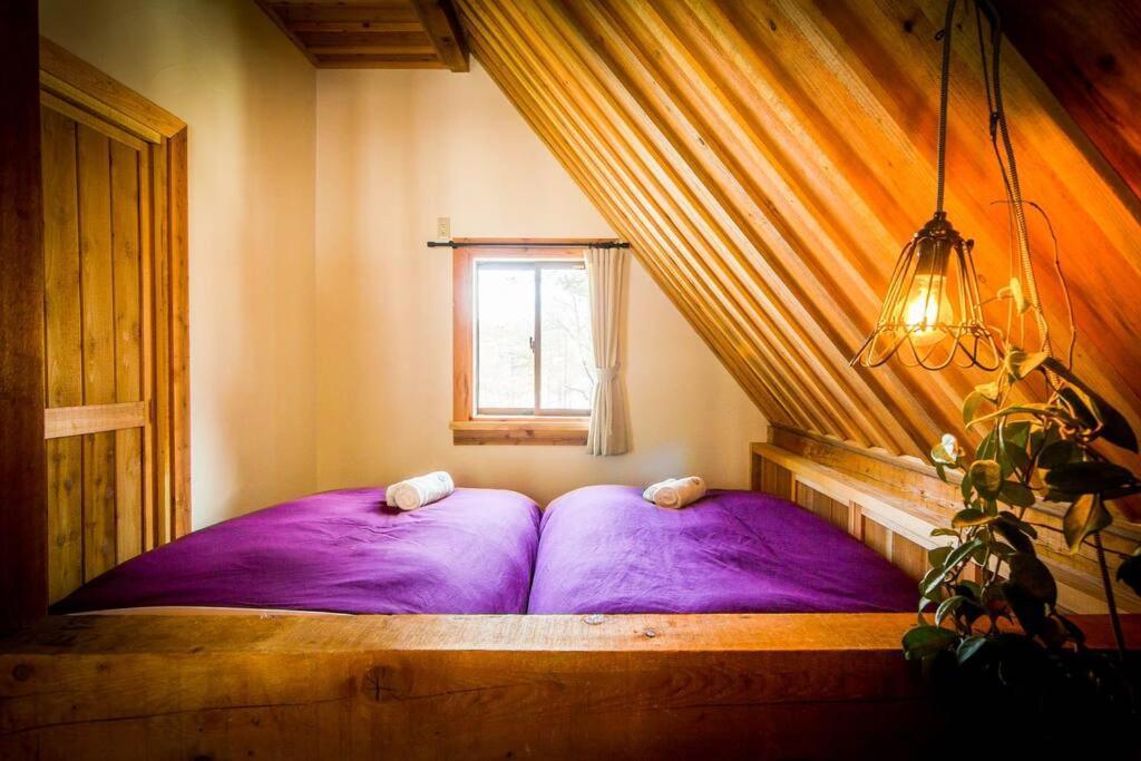 Misorano Chalet Hakuba Esterno foto