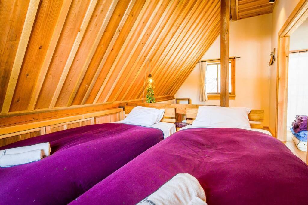 Misorano Chalet Hakuba Esterno foto