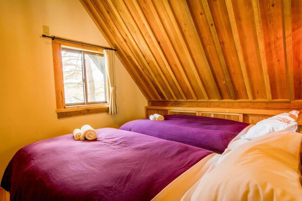 Misorano Chalet Hakuba Esterno foto